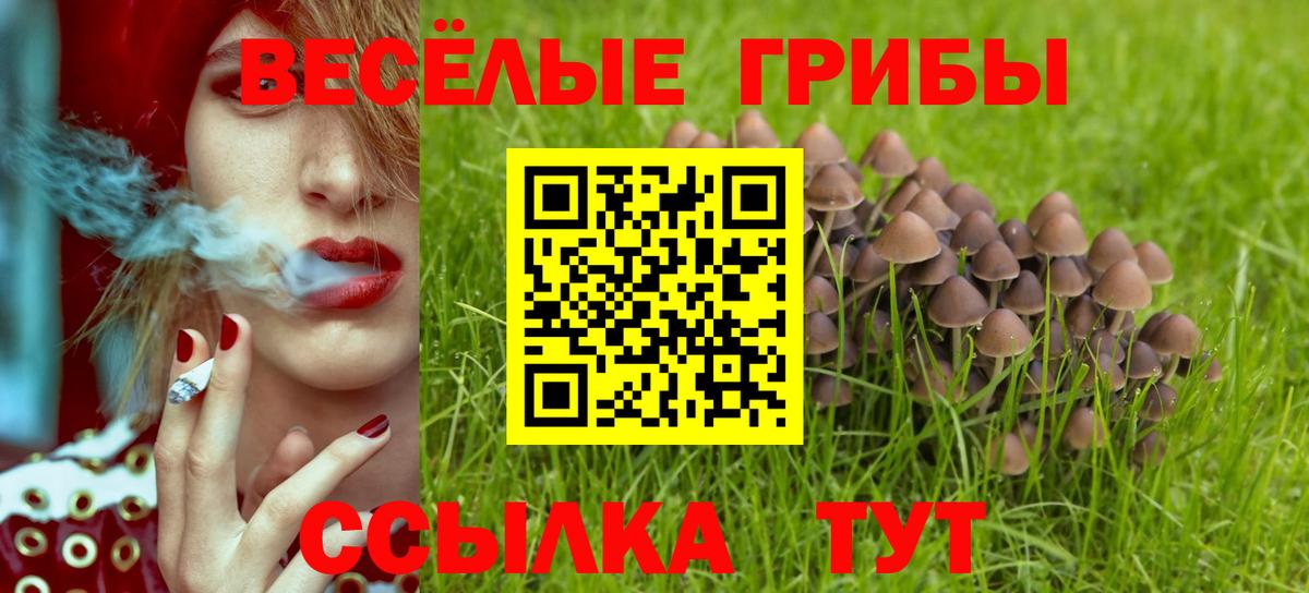 Псилоцибиновые грибы Psilocybe  Вход с VPN  Дмитров 